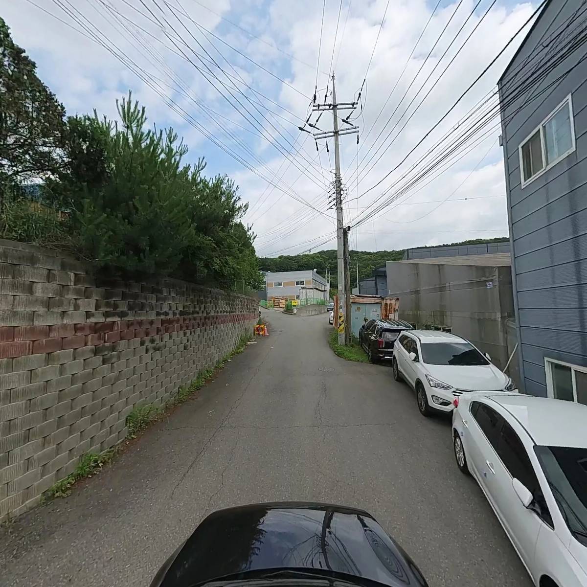 퓨리시스_4