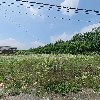 빅원
