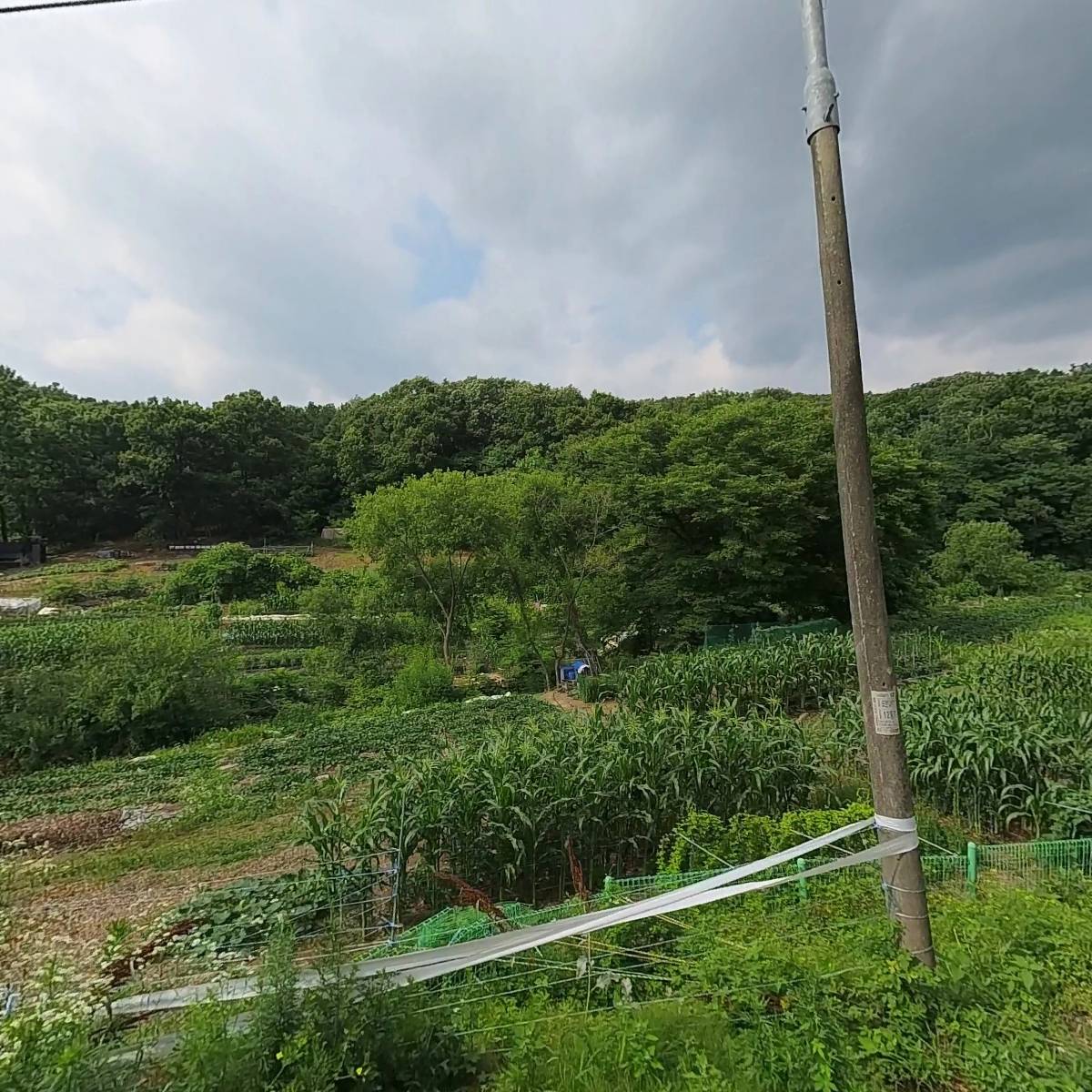 잔디뮤직(Jandi Music)