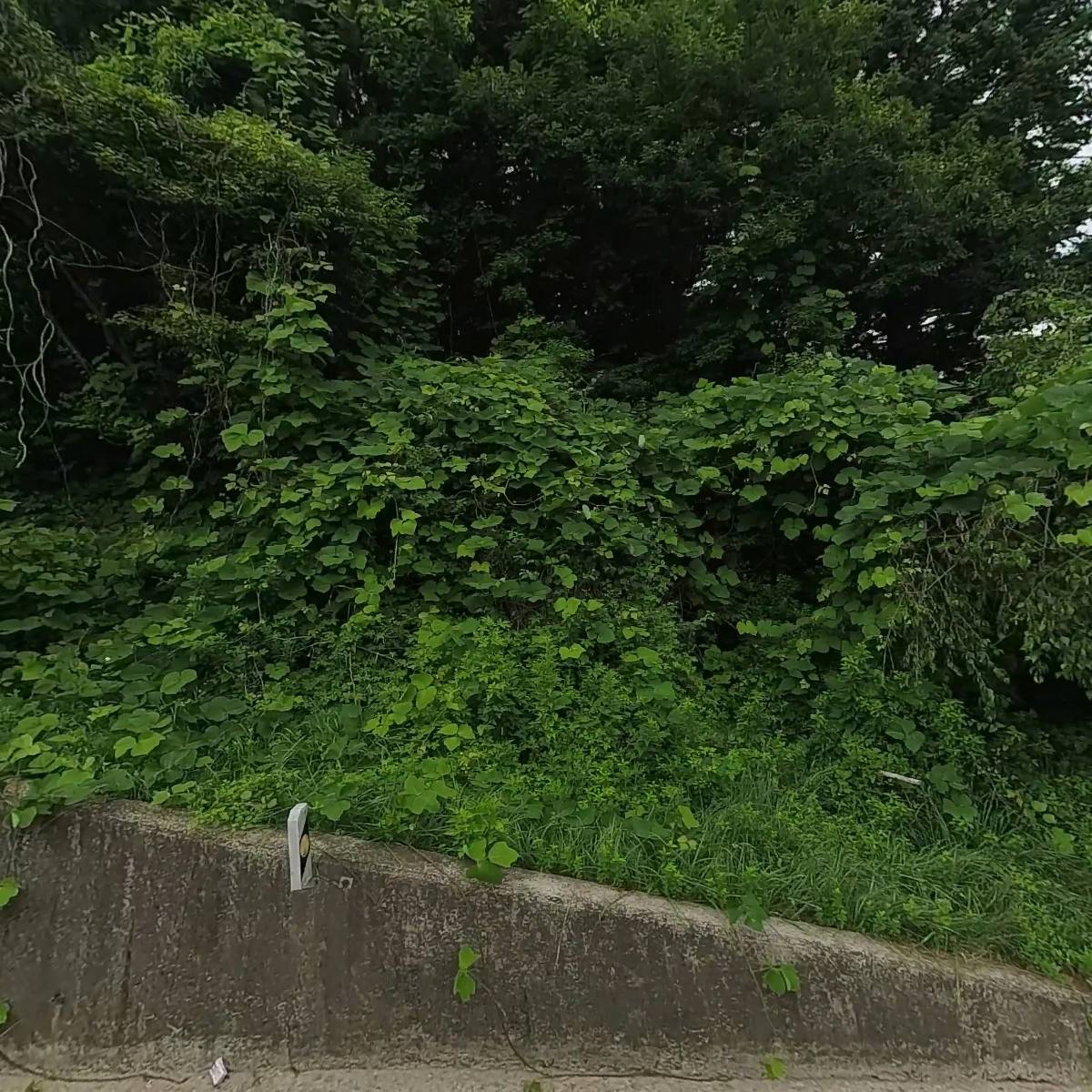 현대에스디(주)