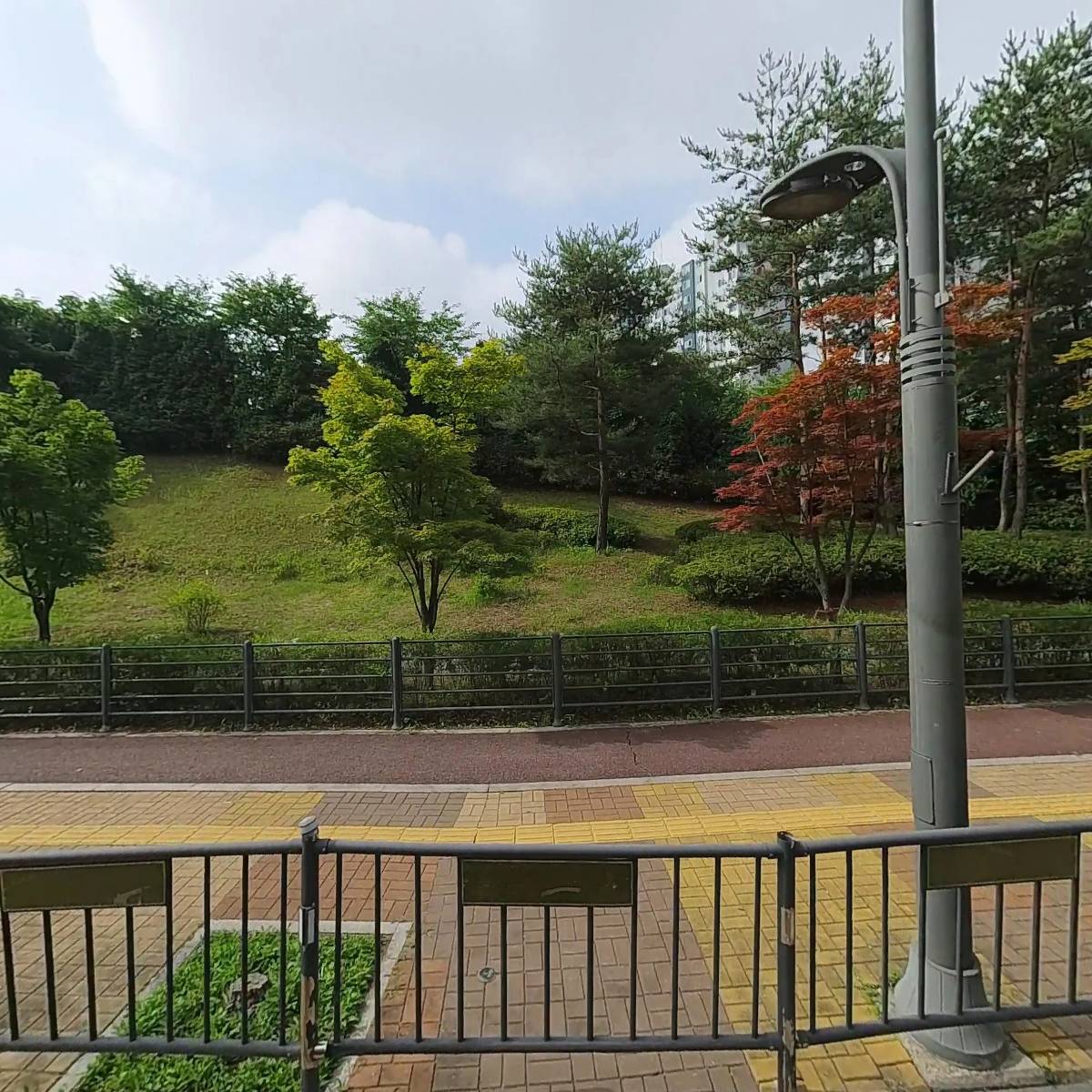 이뽀라(Ebbora)