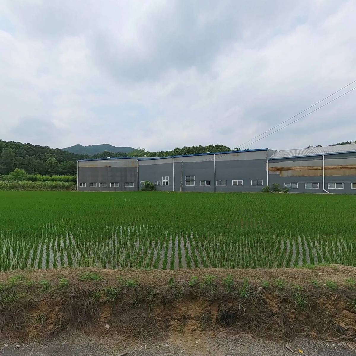 주식회사다올컴퍼니