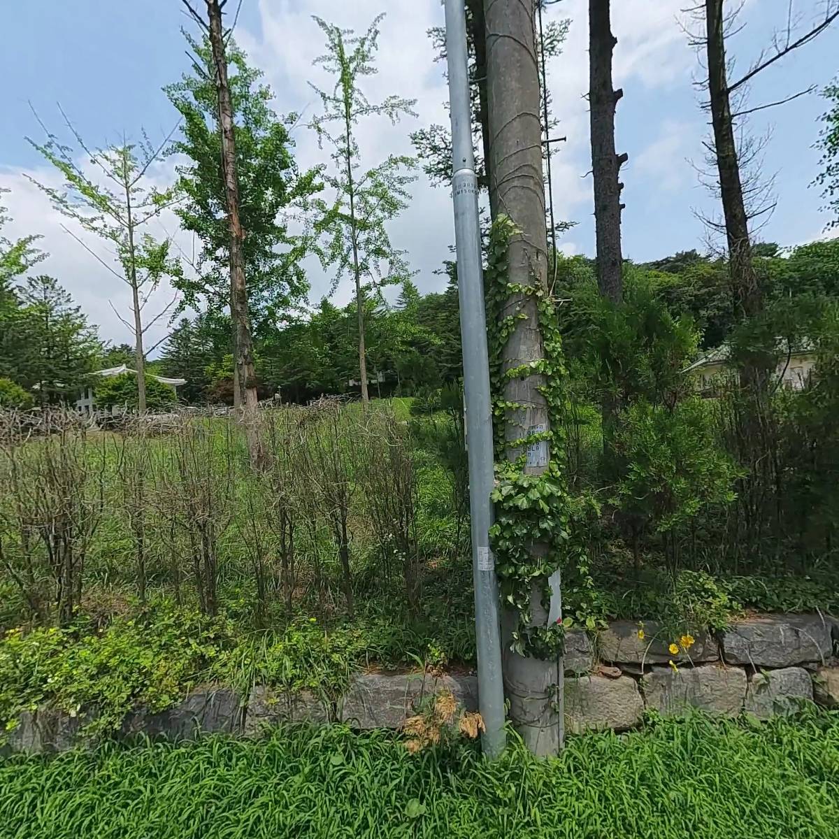 용마루