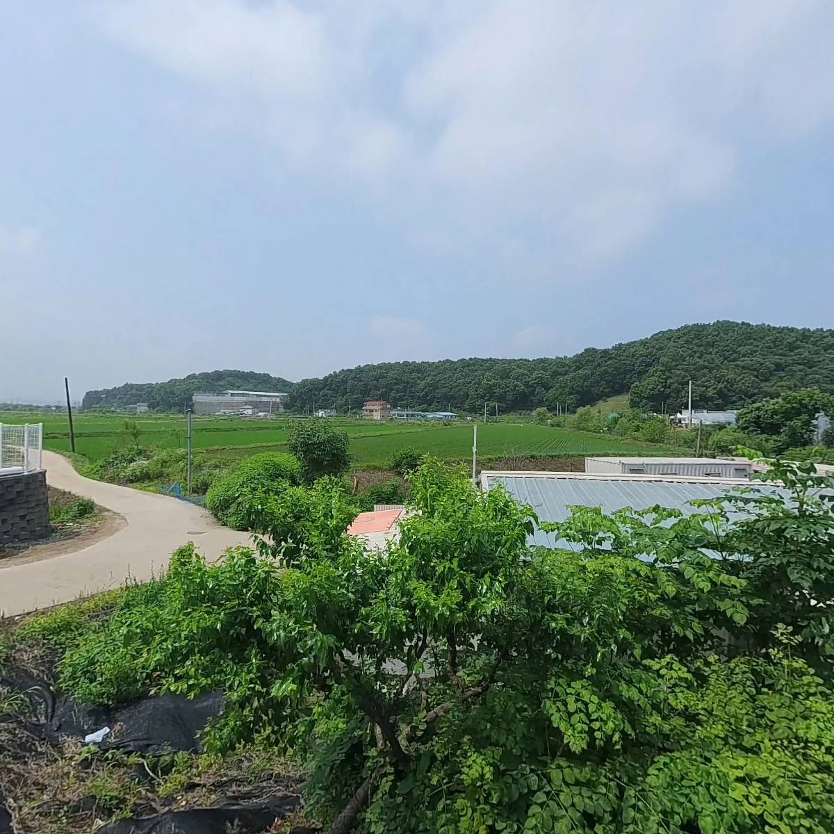 재능기부참사랑예술단파주지회_3