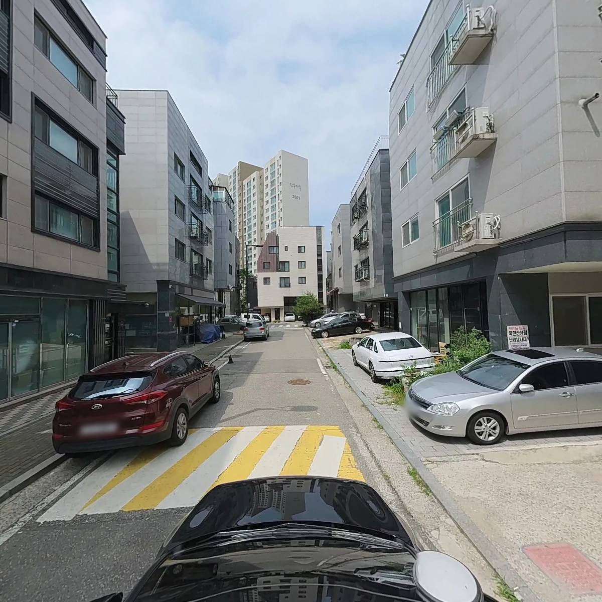 디테일러 명_4