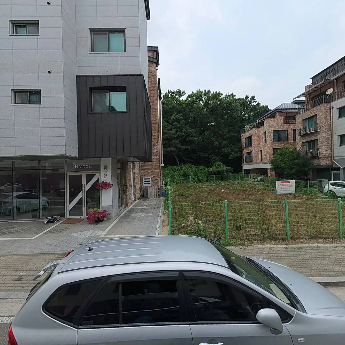 와튼