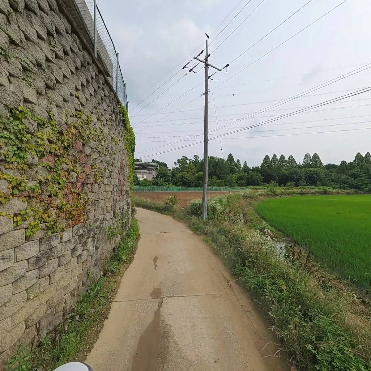 중앙냉동운송_2