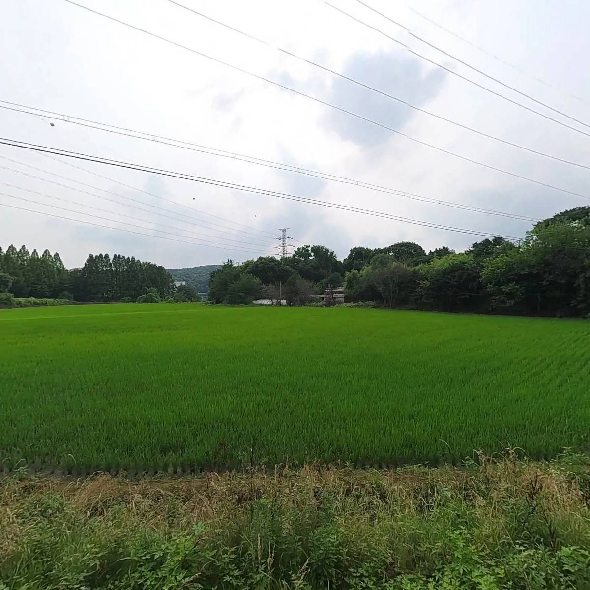 중앙냉동운송_3