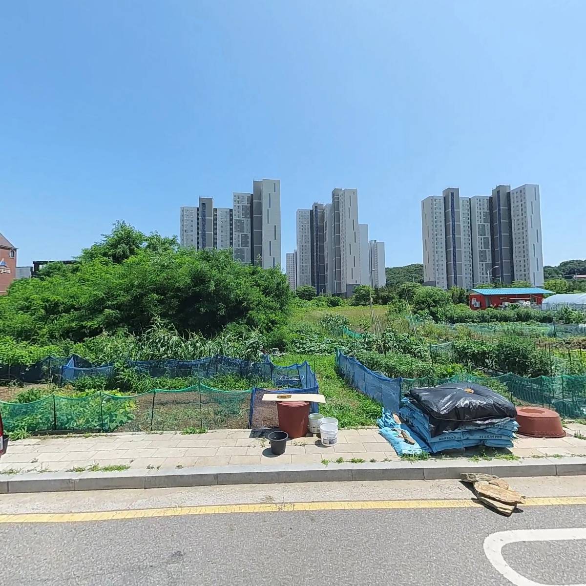 명문코리아