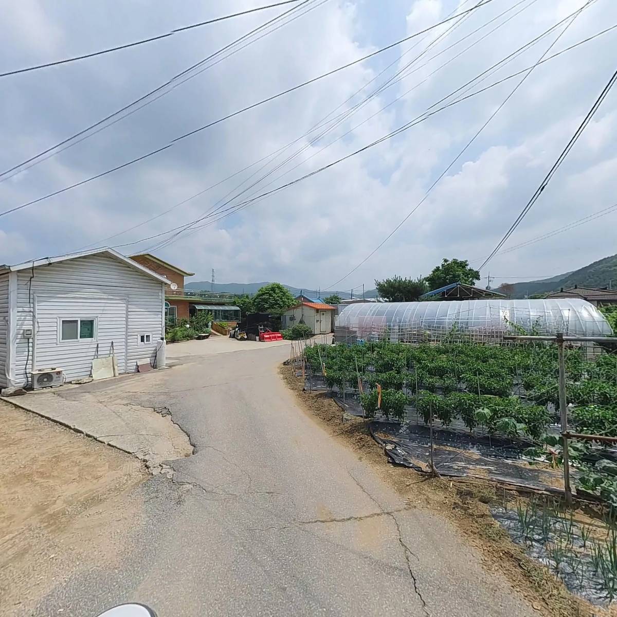 새마을들밥_2