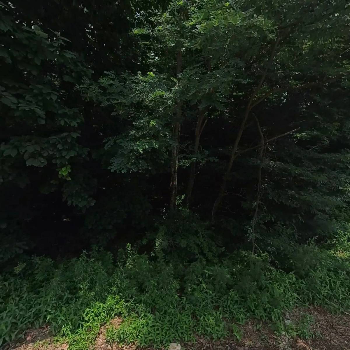 퍼니메이크