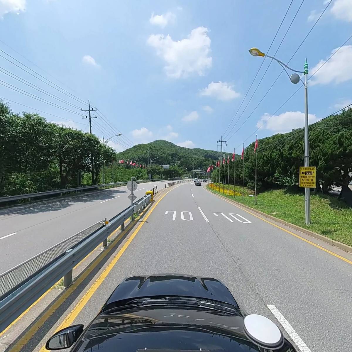 싱그러움_4
