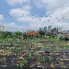 디케이산업_3