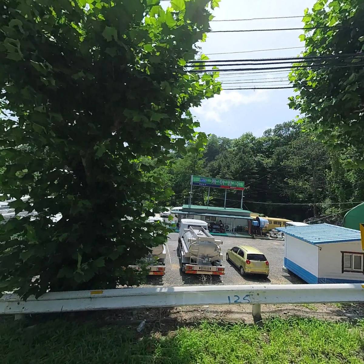 대청살수