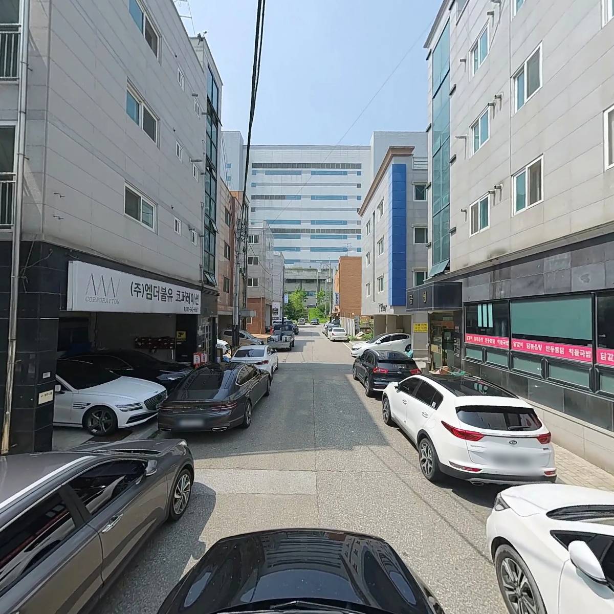 금채장어킹_4