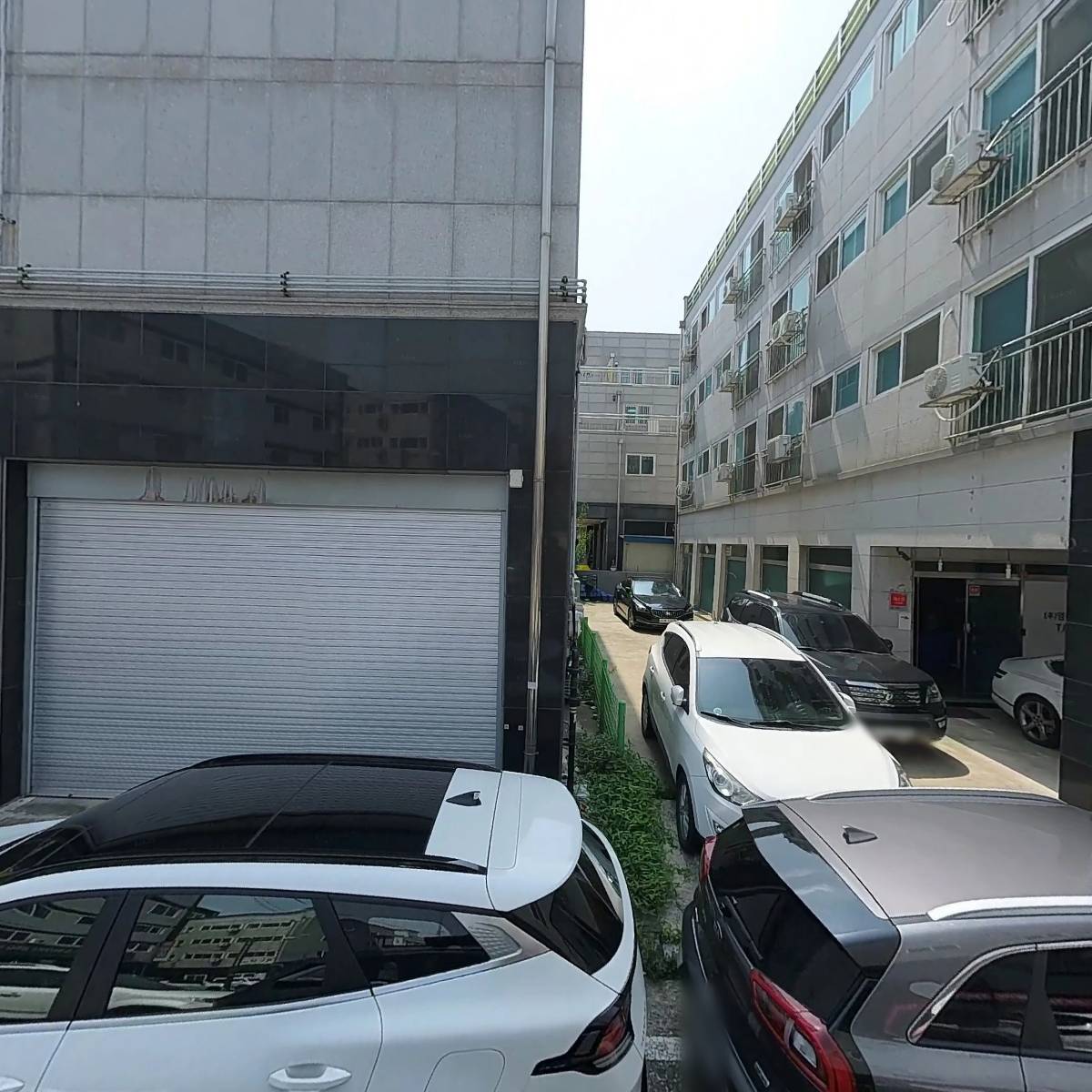 금채장어킹_3