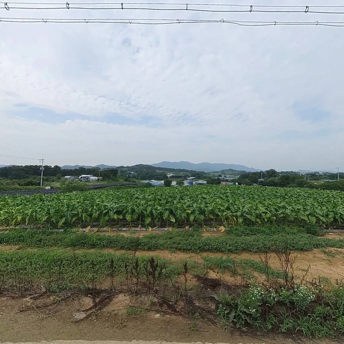 (주)세화이엔지