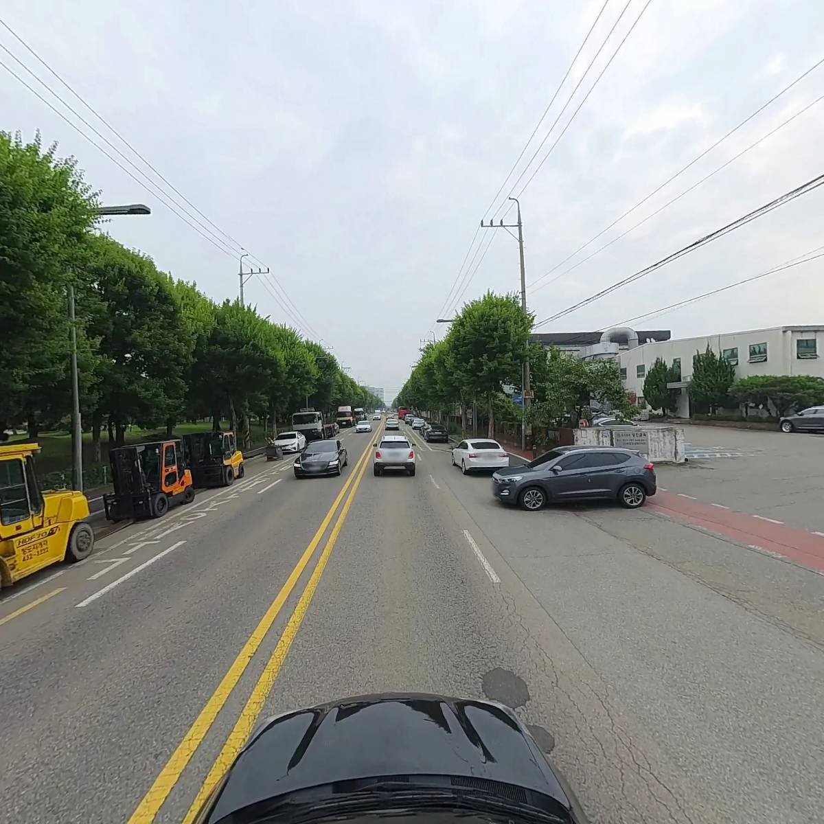 코이_4