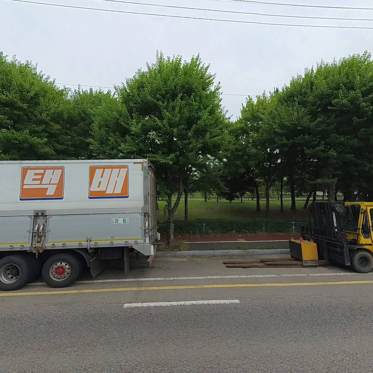 코이_3