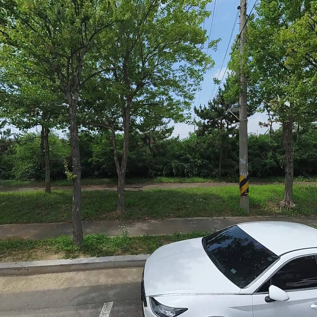(주)세아스
