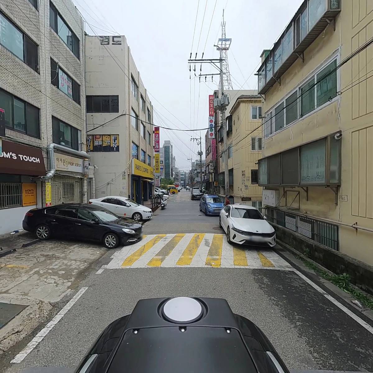 젬마동물병원_2