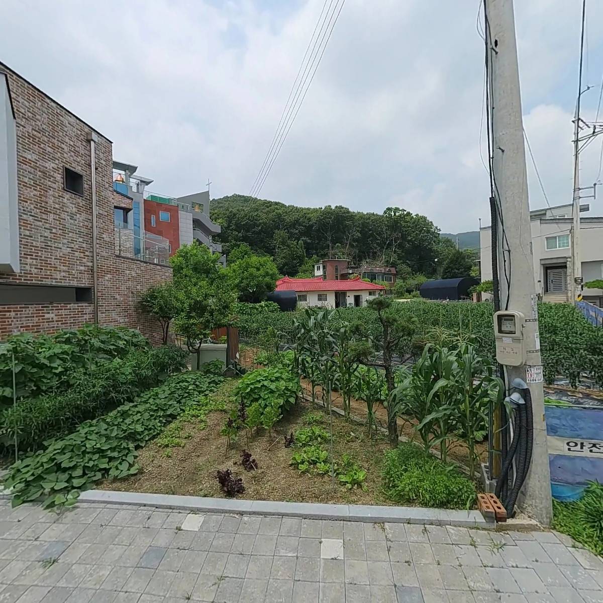 화온