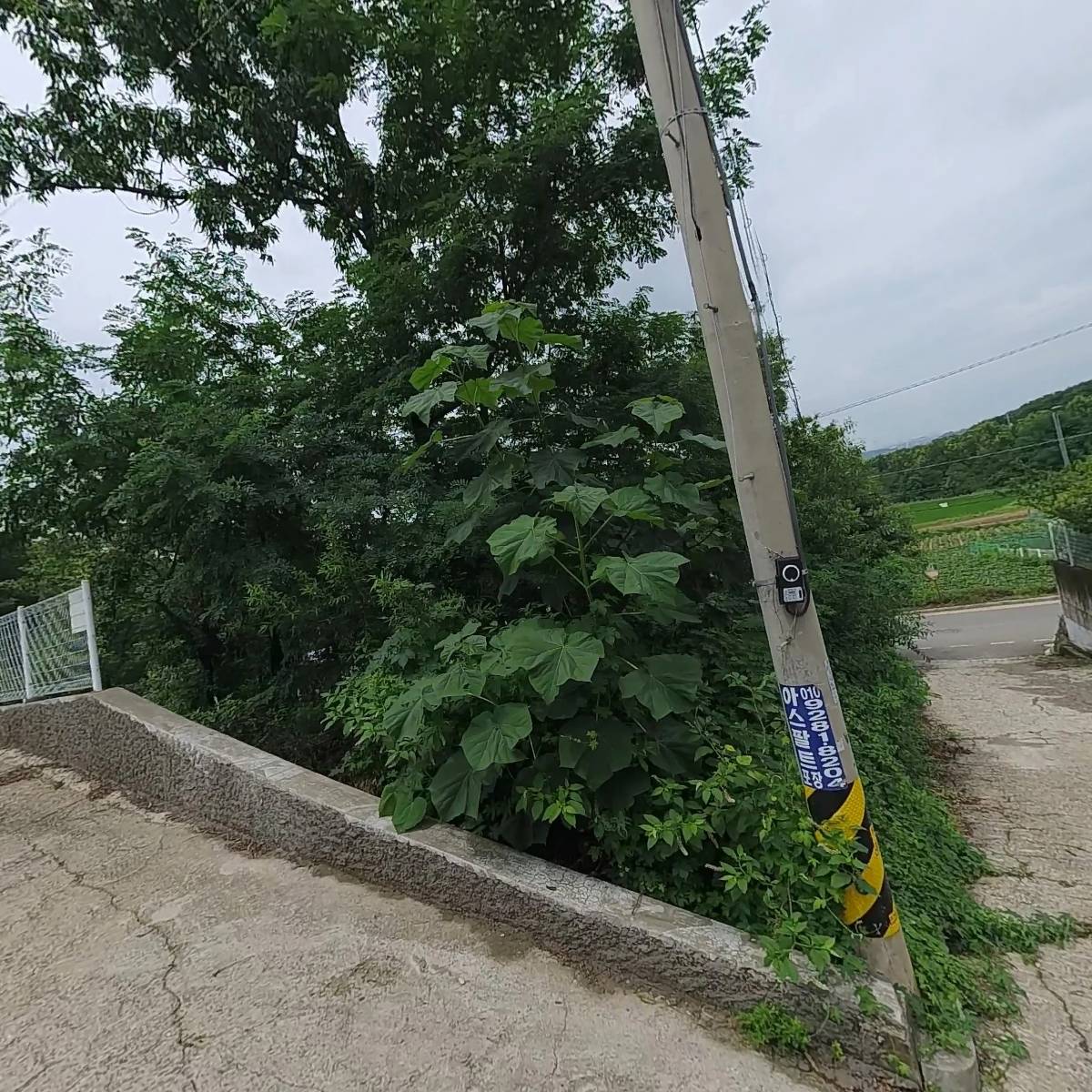 대신무역