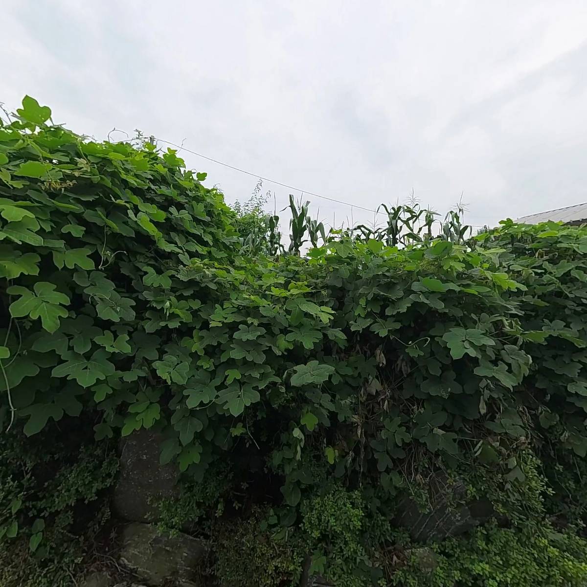 신흥자원_3