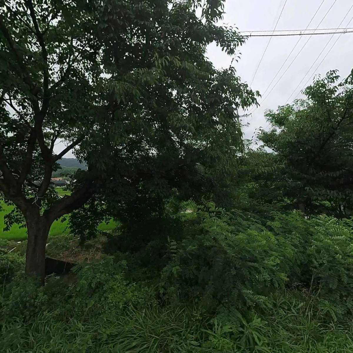 제이엔아이종합상사