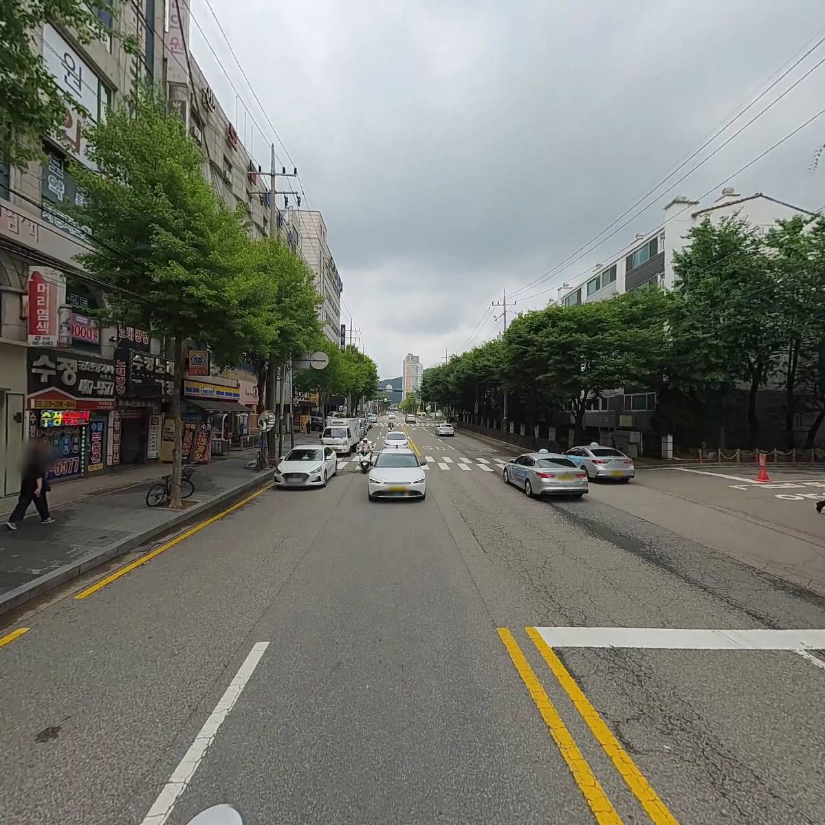 늘사랑애견미용실_2