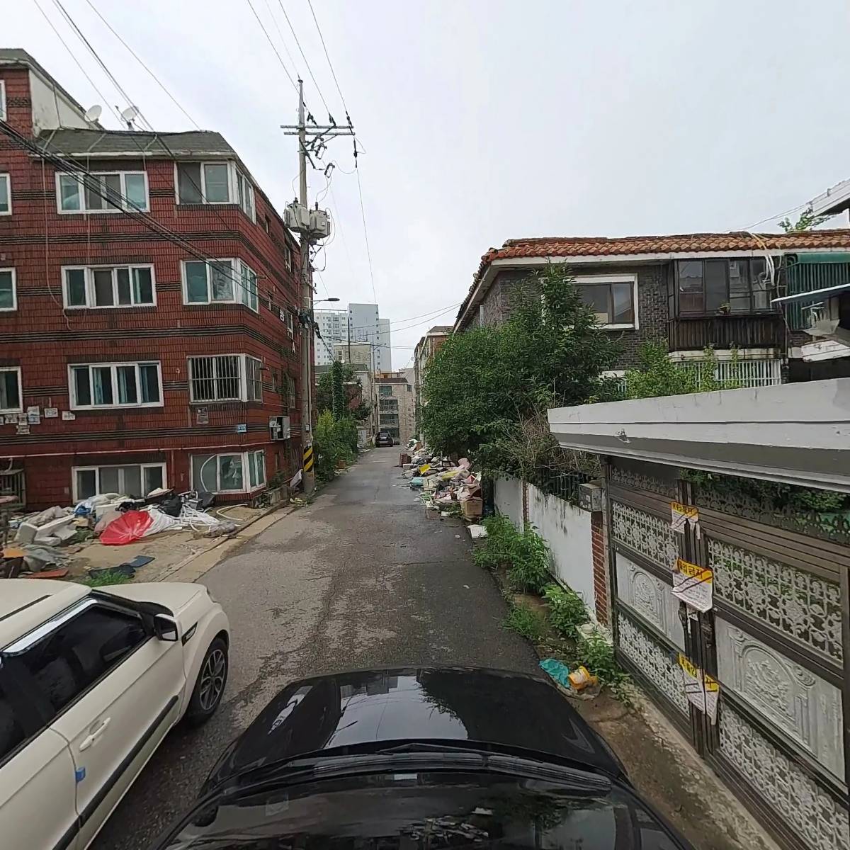 아몬드나무_4