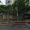 김영희강남동태찜
