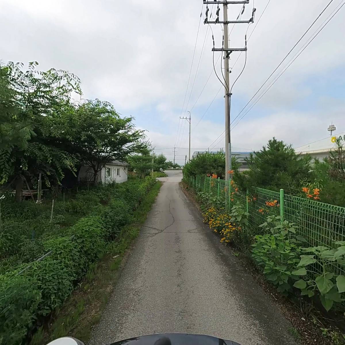 이든머슈팜_2