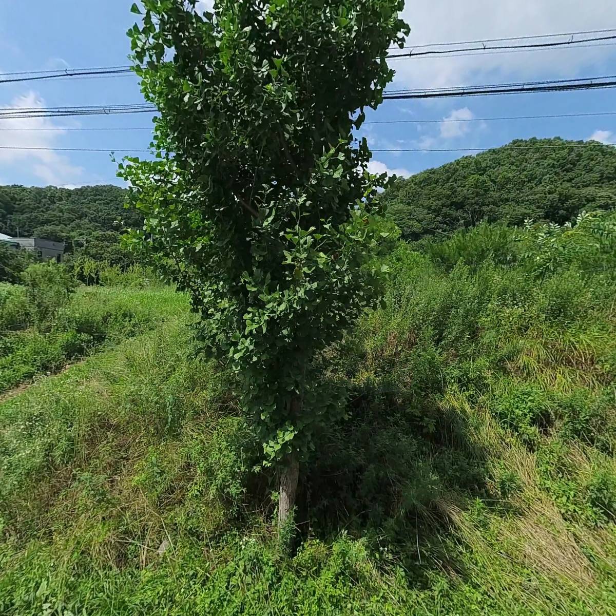 의령남씨진사공파(도희직계)종중_3