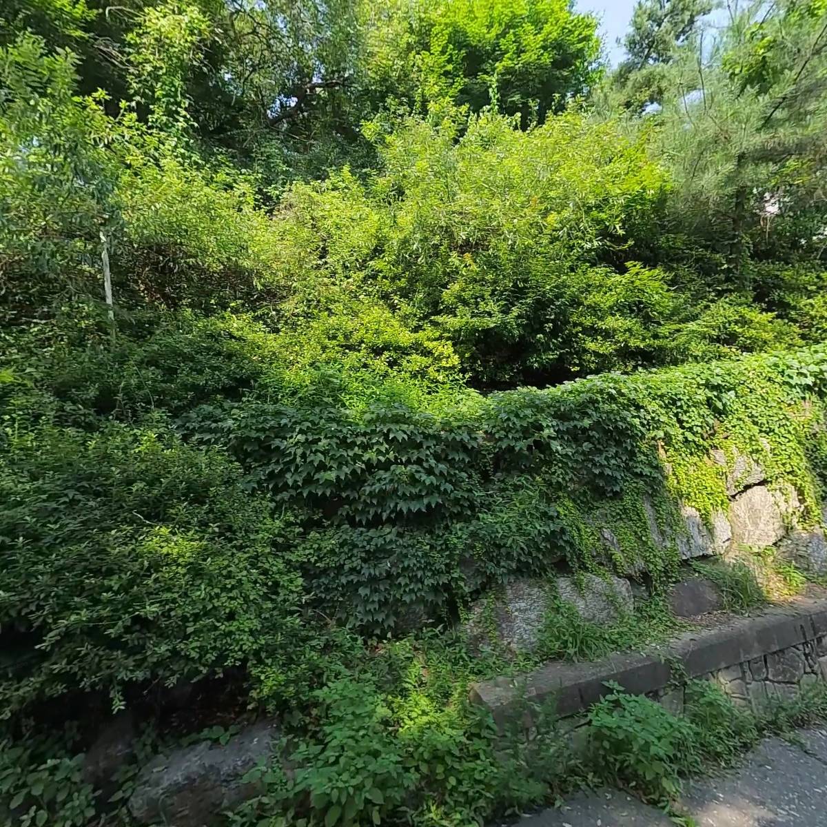 푸주옥