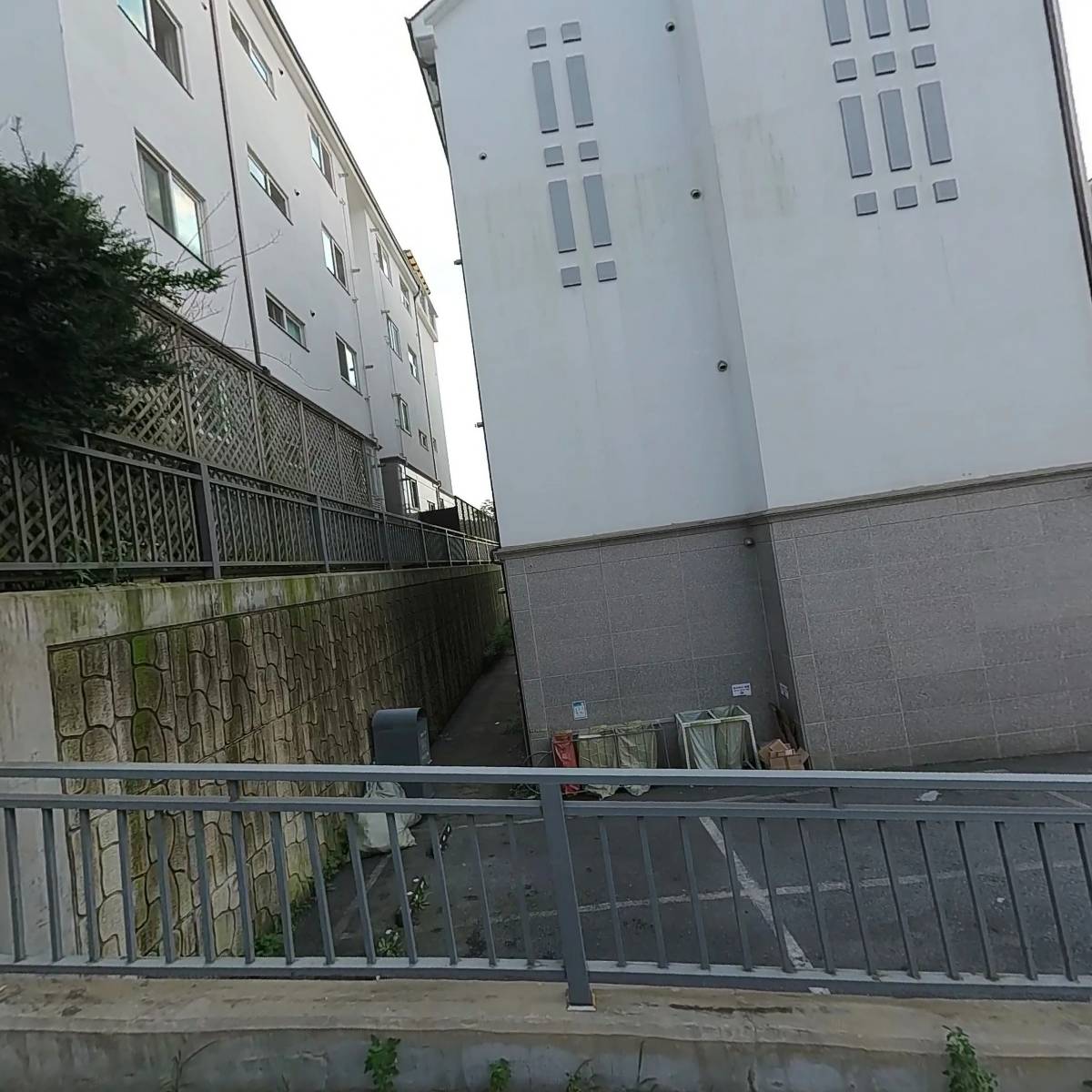 로웰블로썸
