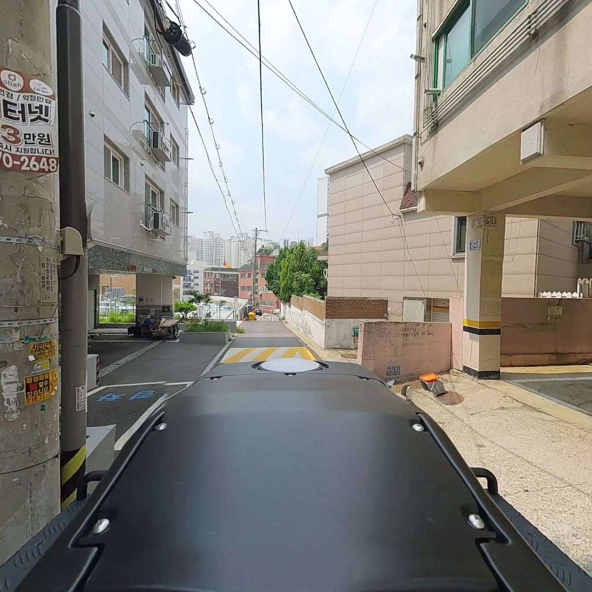 마리(MARI)_2