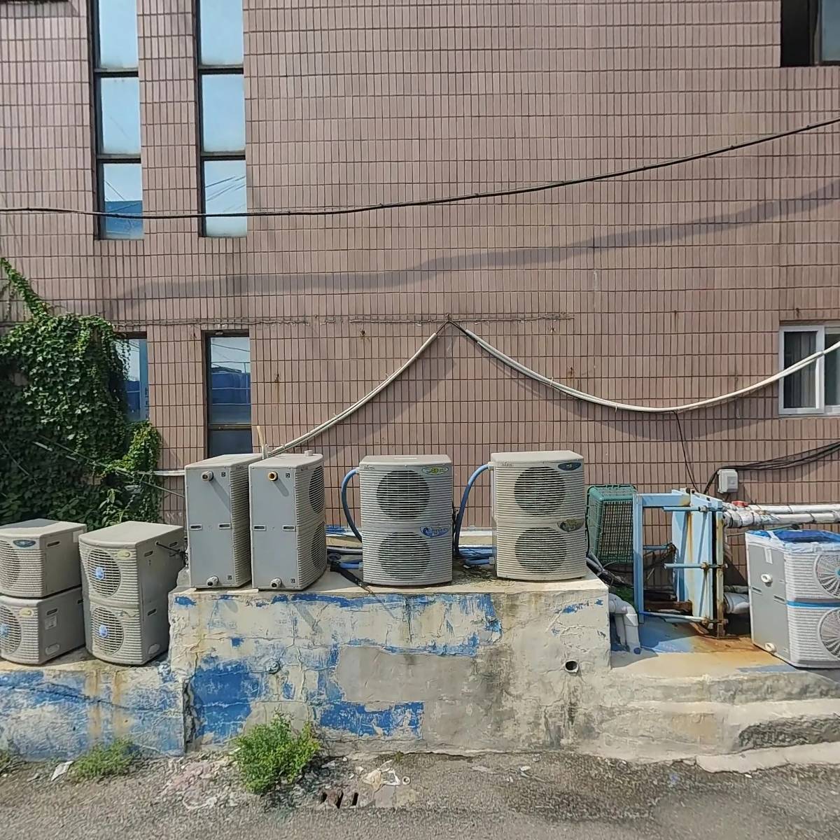 파라다이스유통