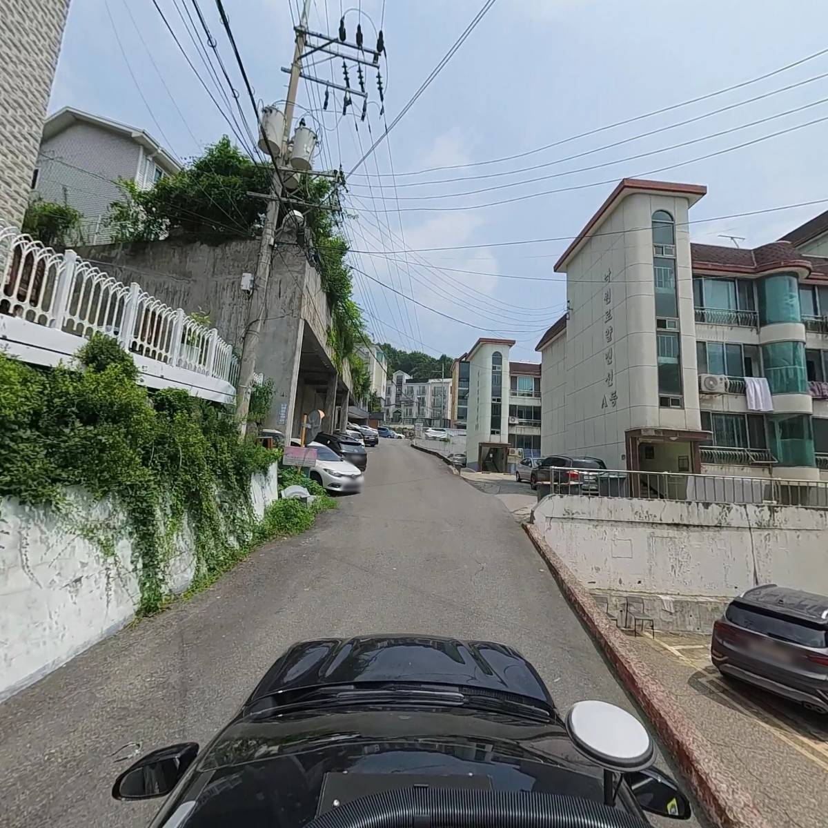 코스모스(cosmos)_4