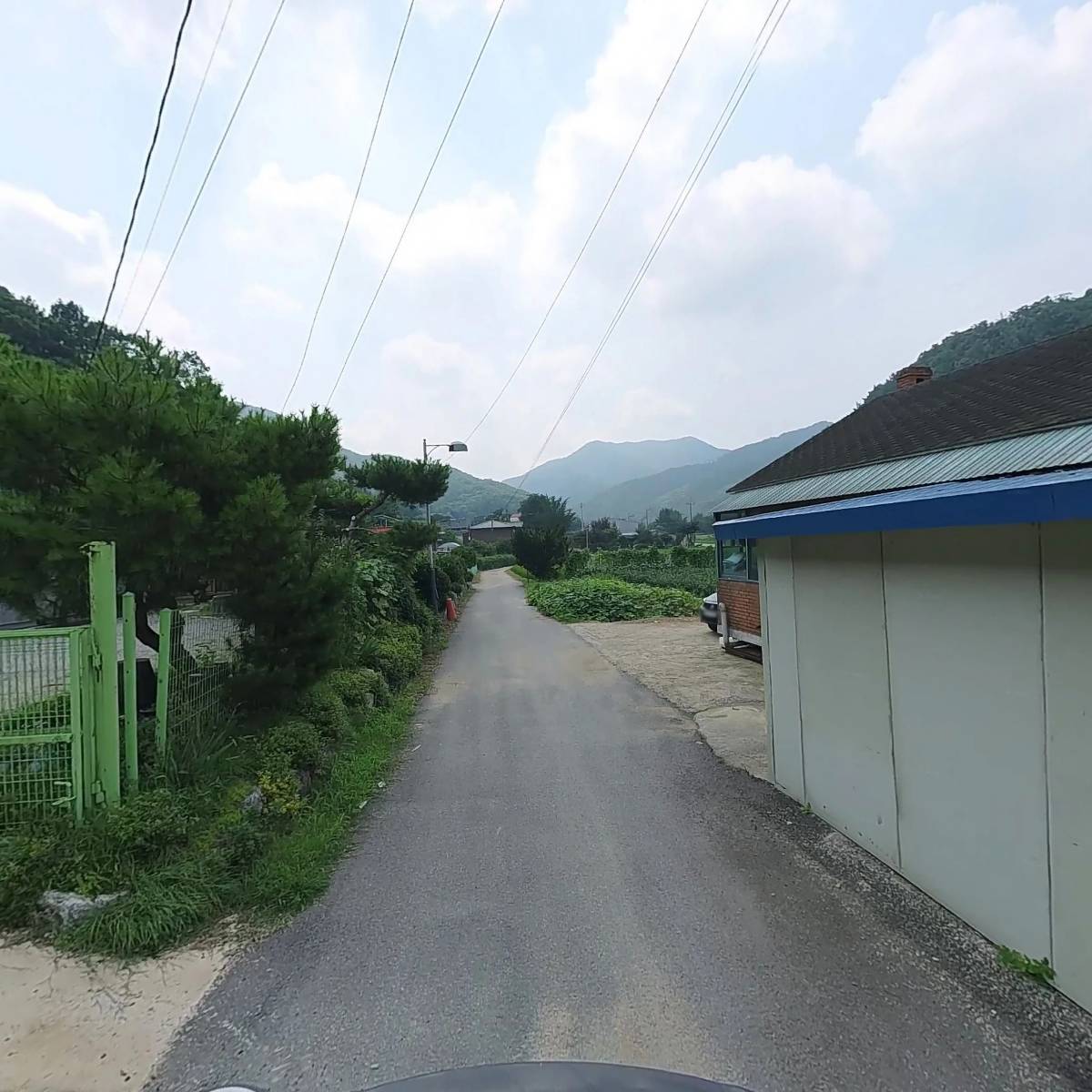 대양식품_2