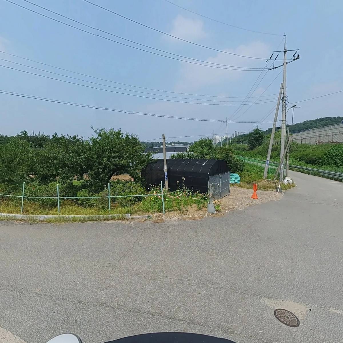 (주) 보성녹차_2