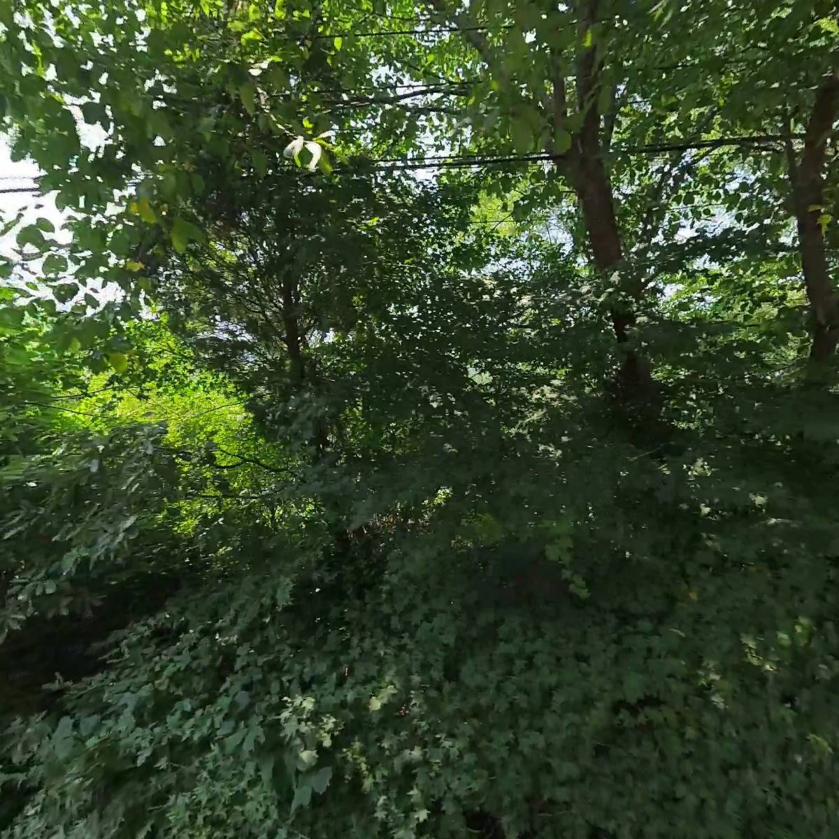 경란유통