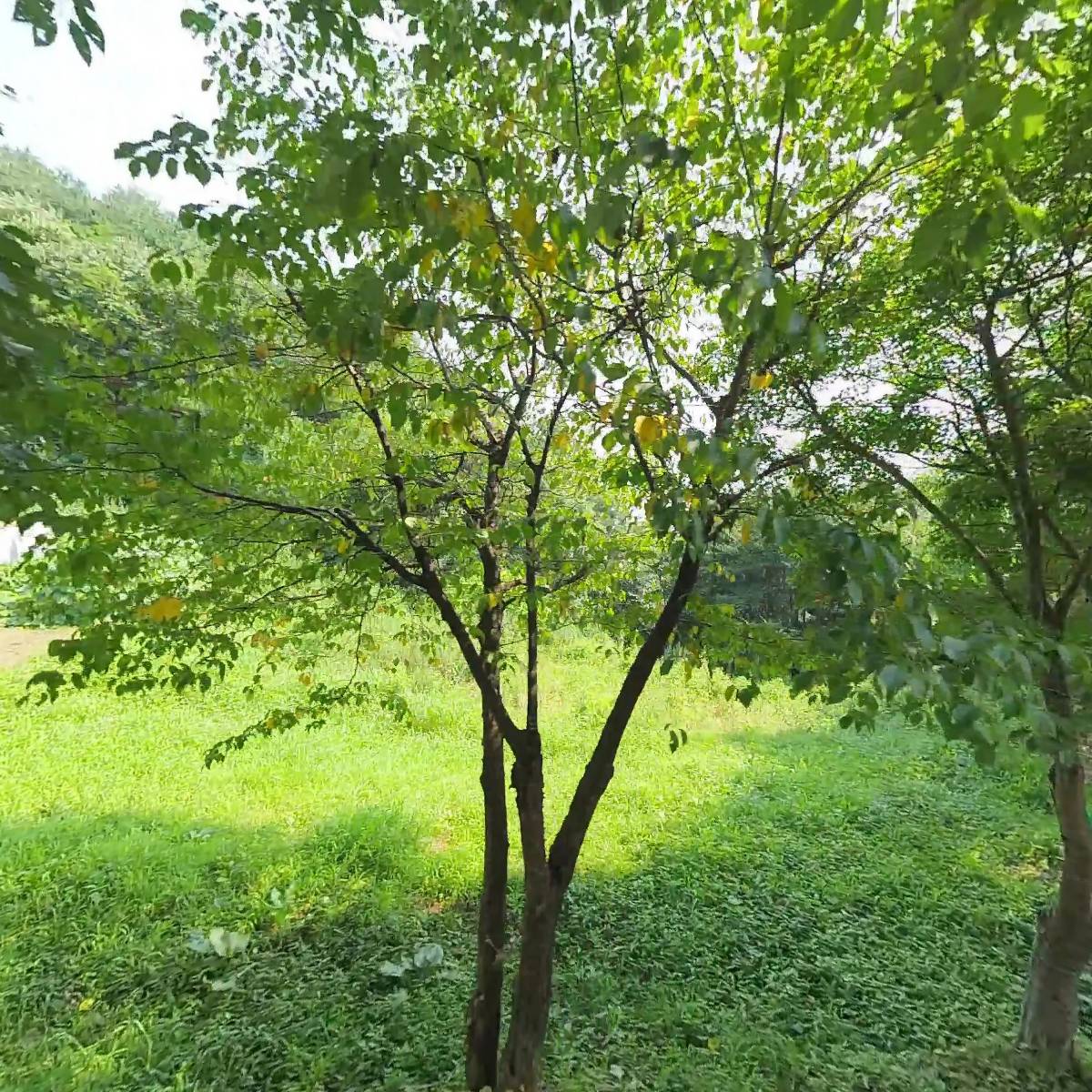 경란유통_3