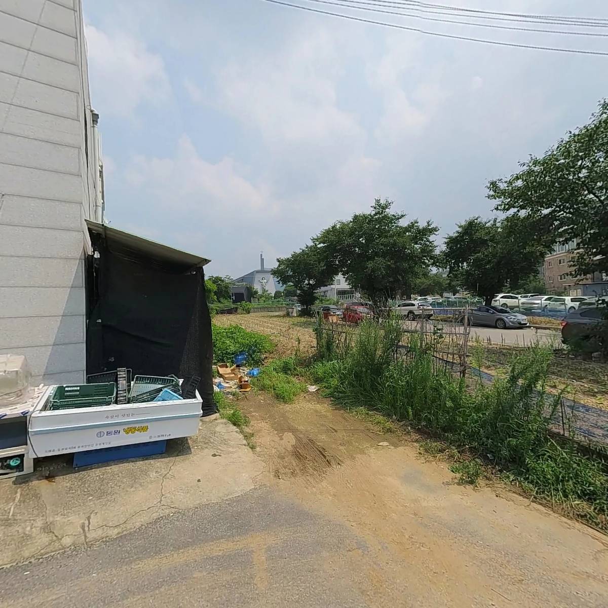 봄씨네