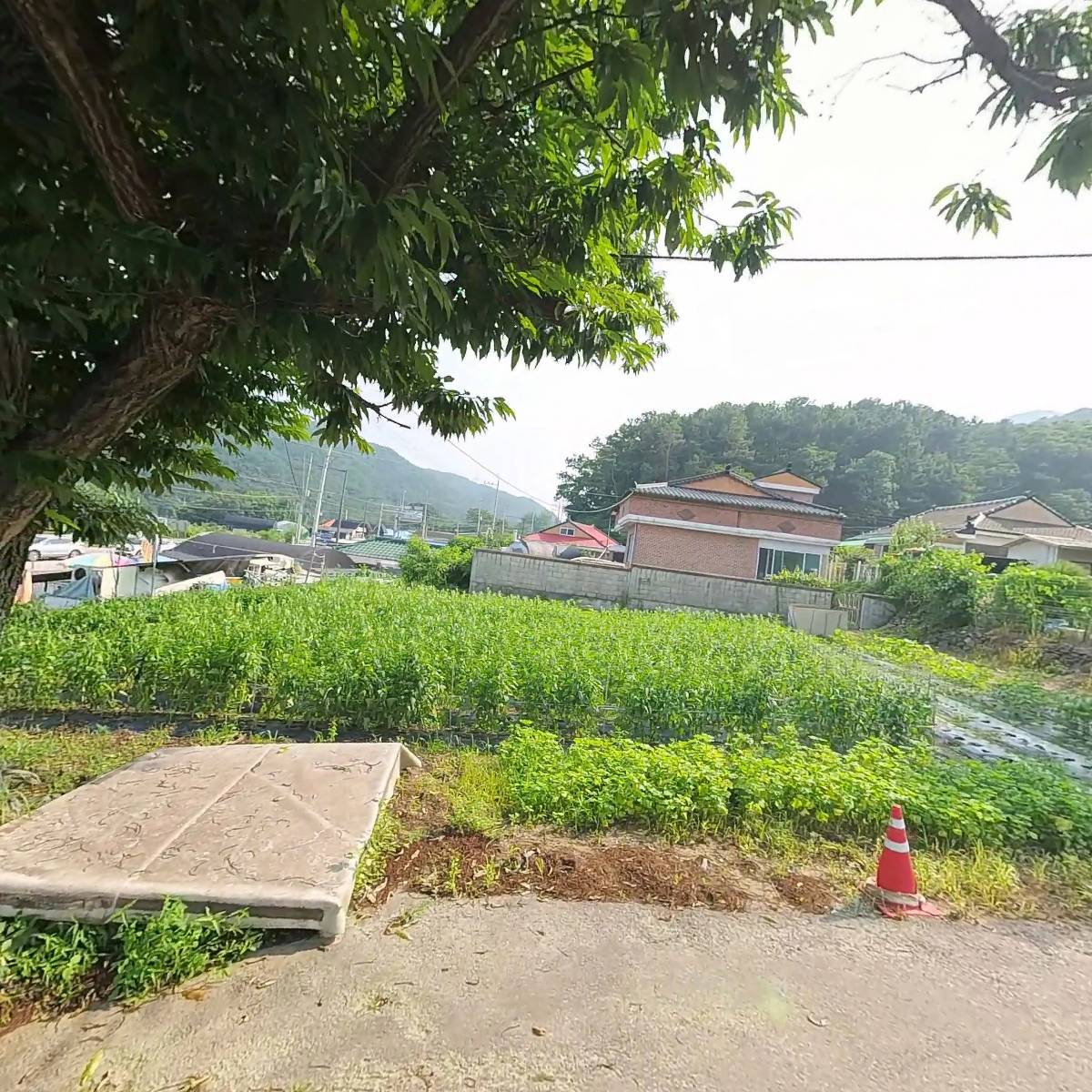 상원_3
