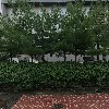 인천청라고등학교