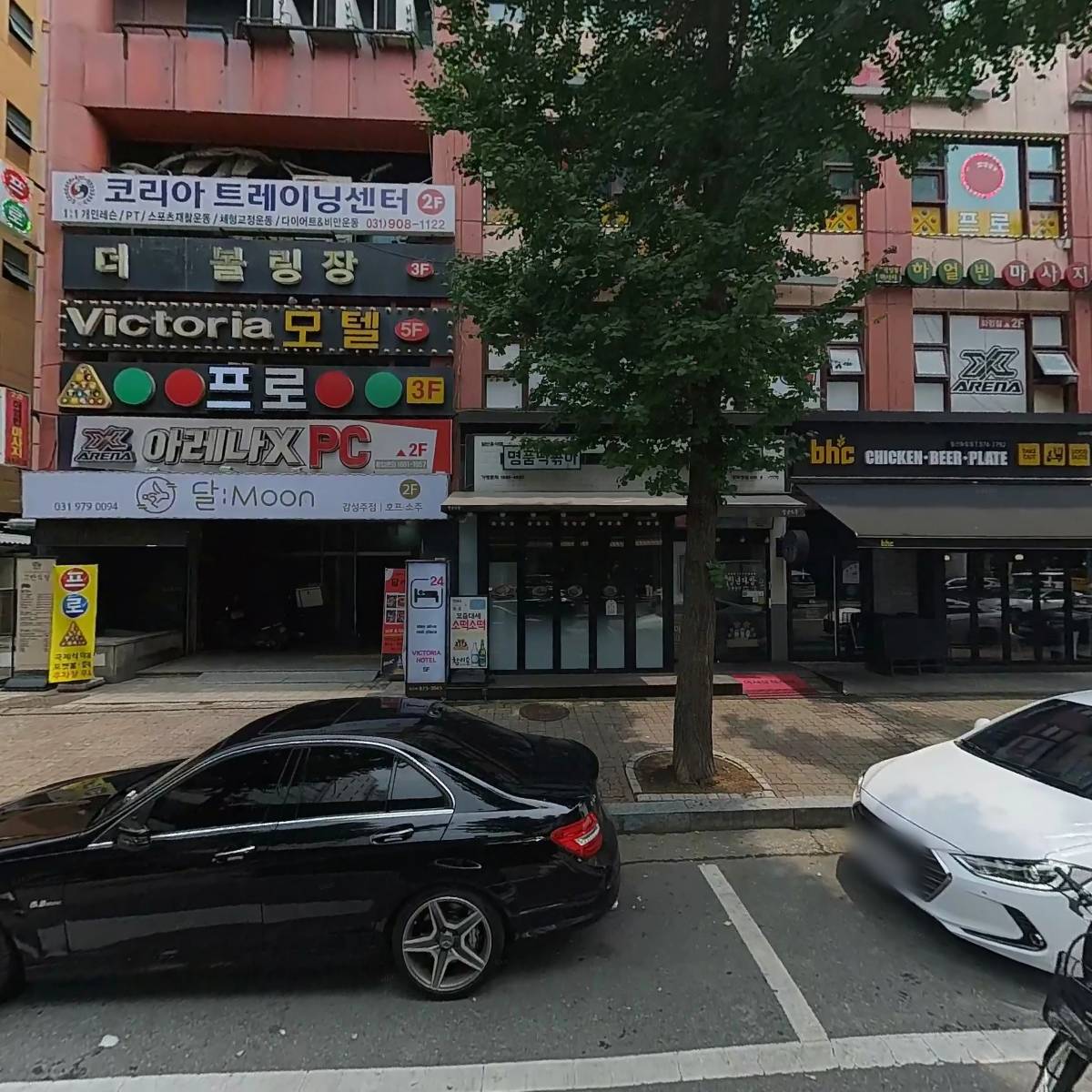 제주통돼지
