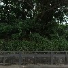 미당만두