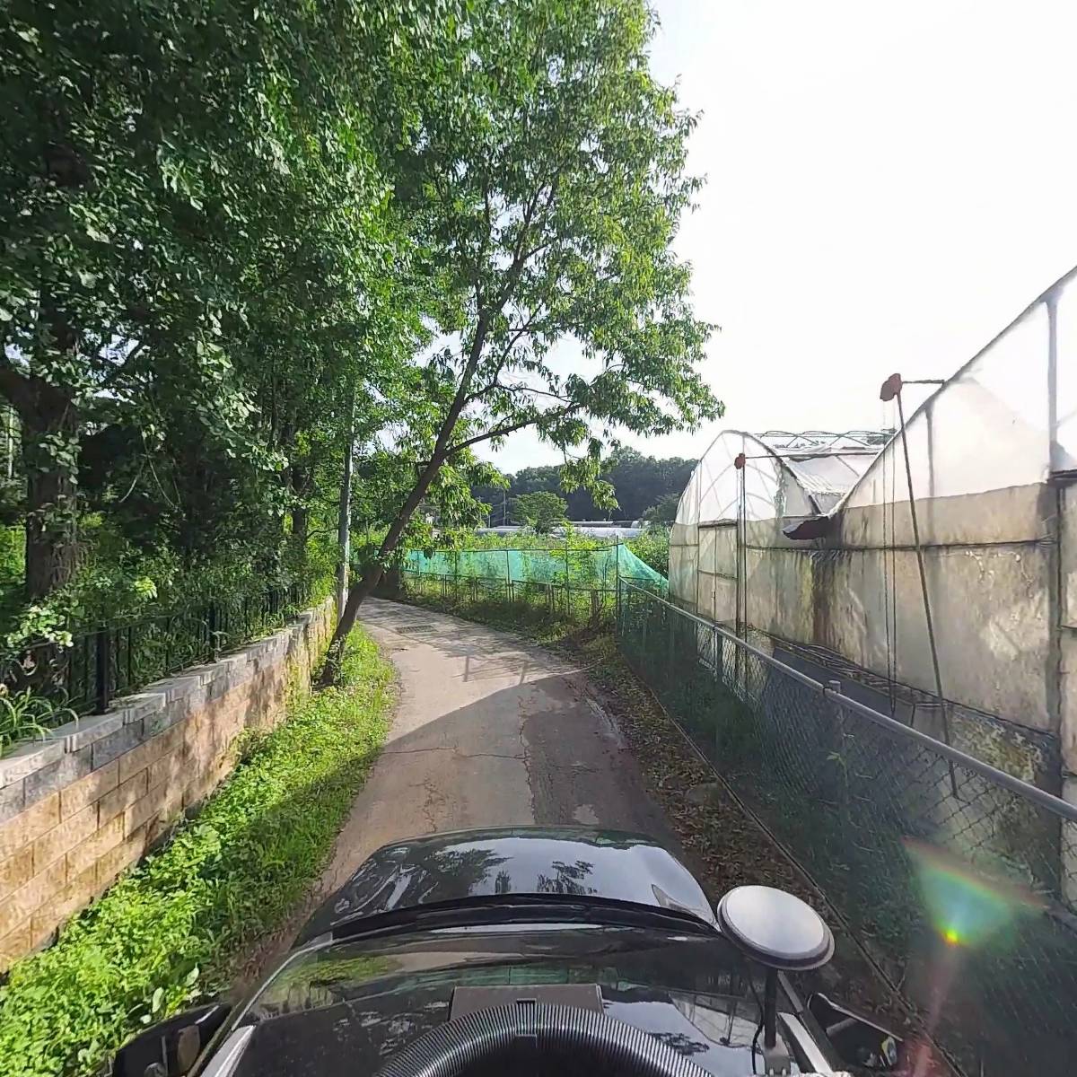 두메풀밭_4