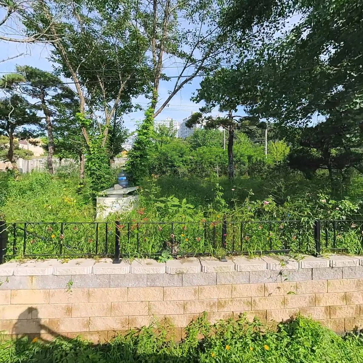 두메풀밭_3